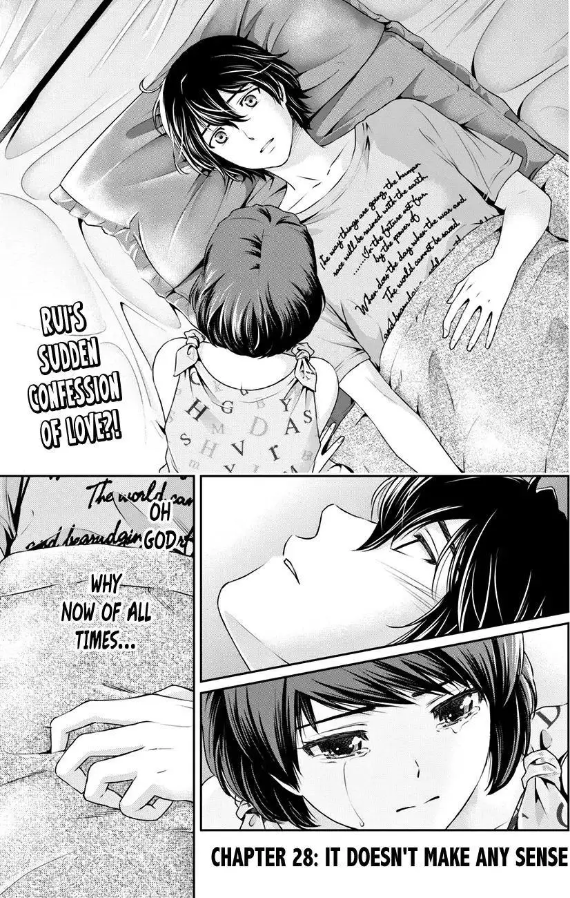 Domestic na Kanojo image