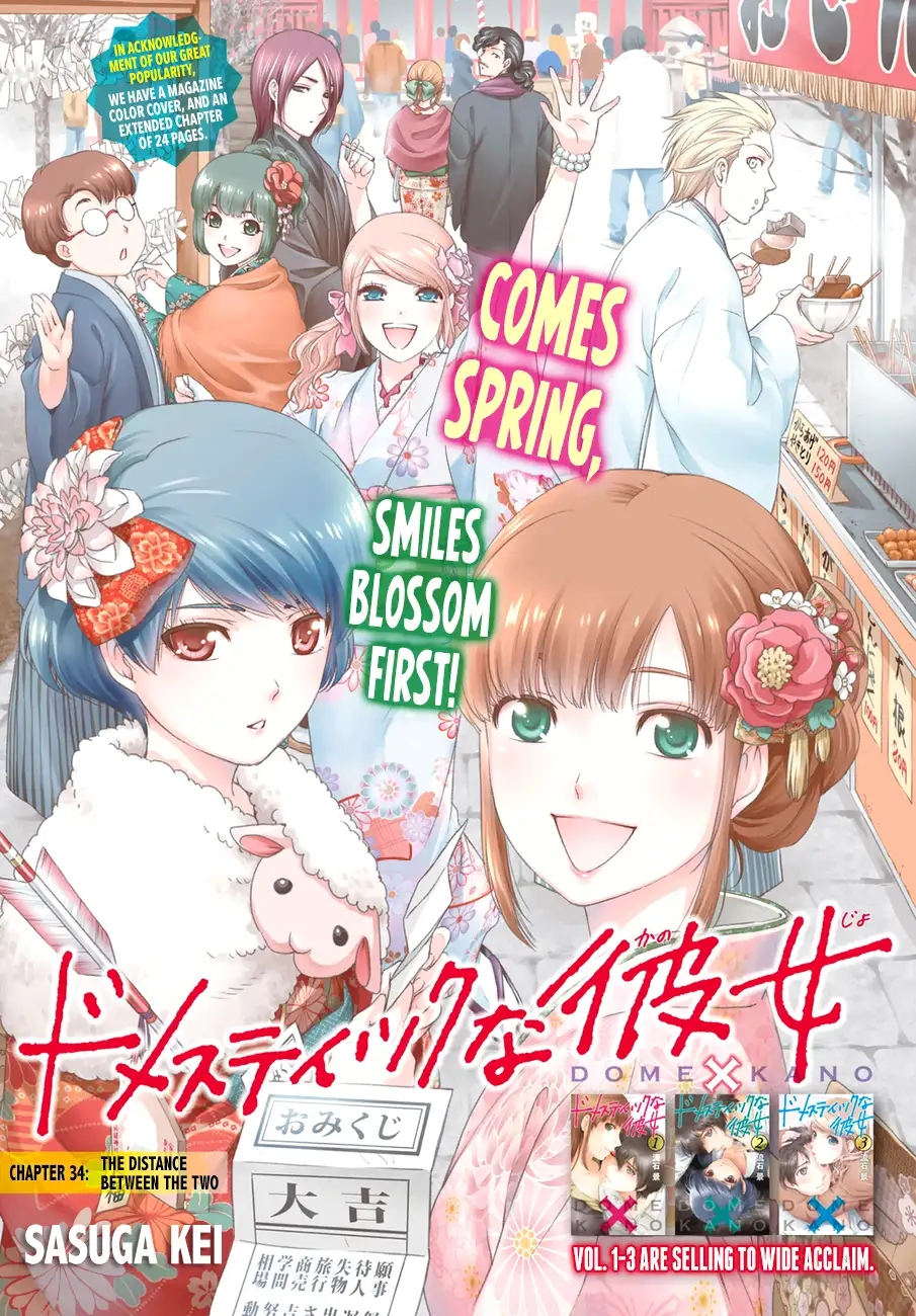 Domestic na Kanojo image