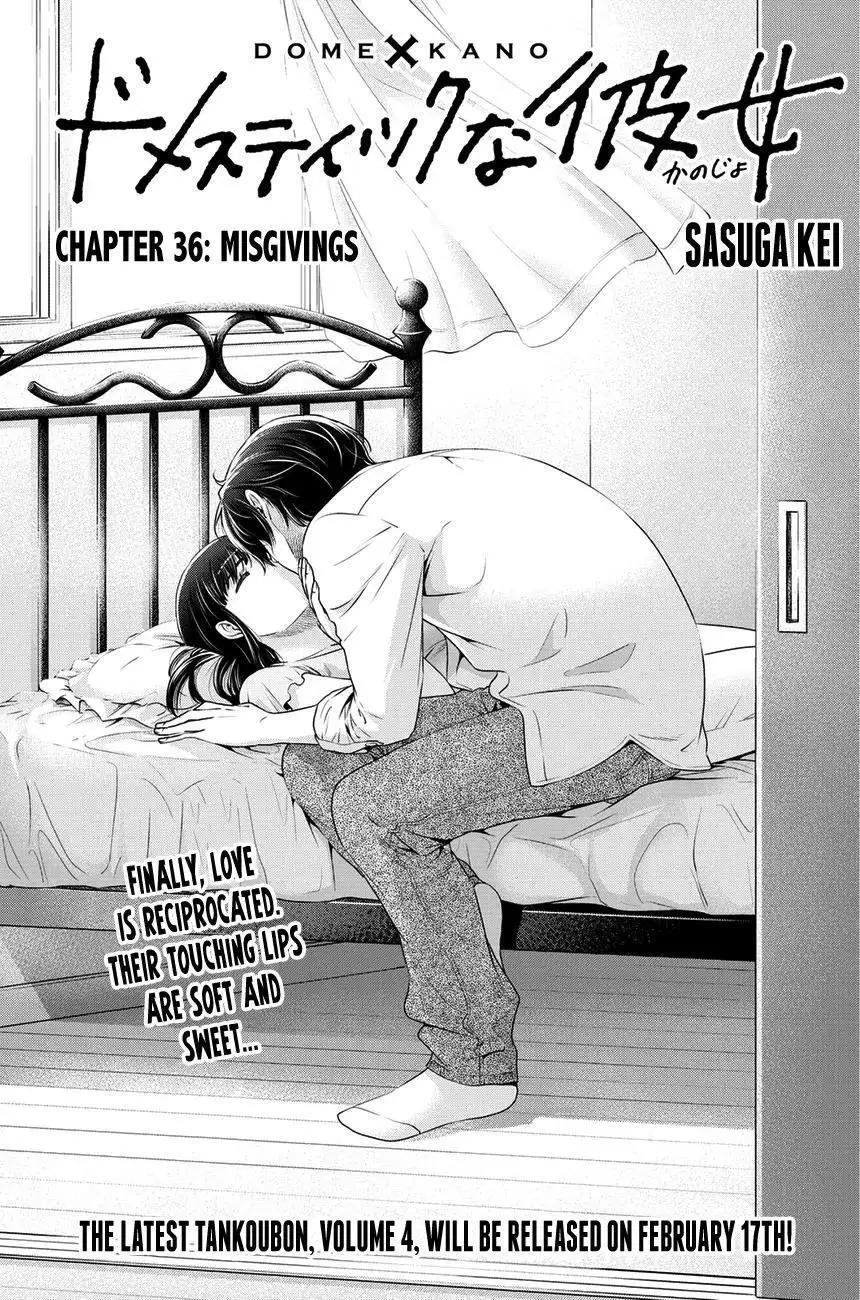 Domestic na Kanojo image