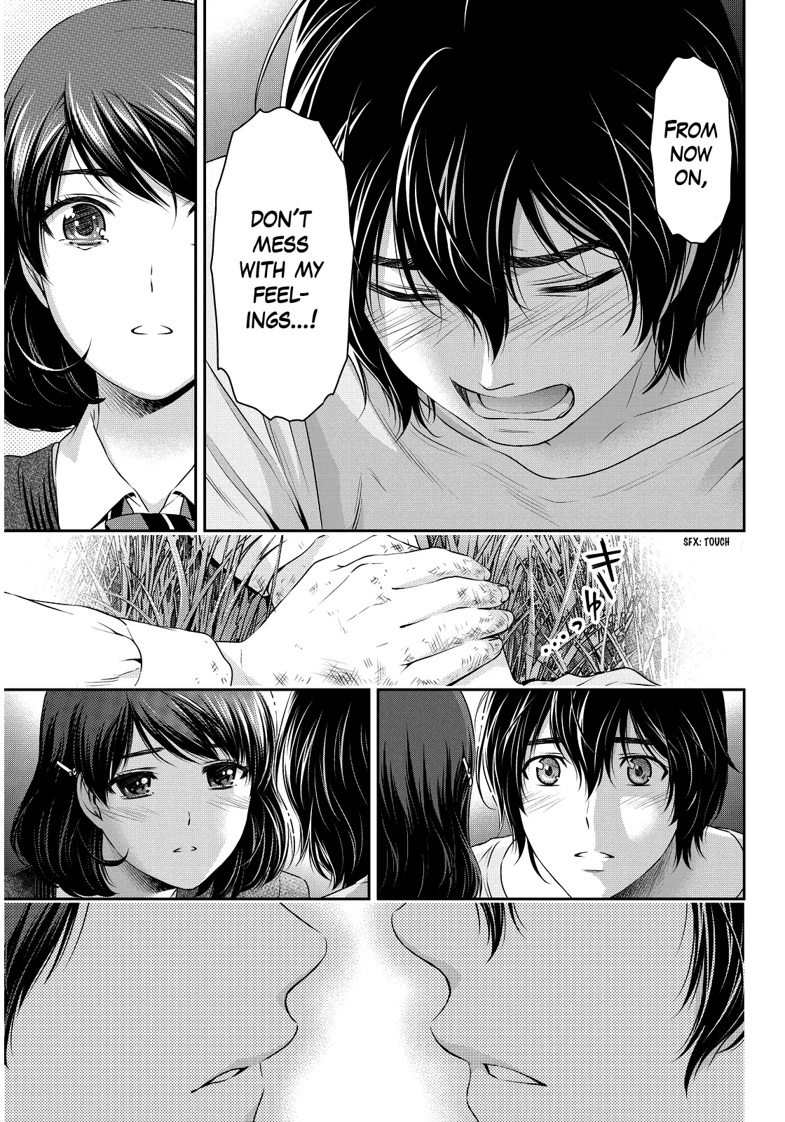 Domestic na Kanojo image