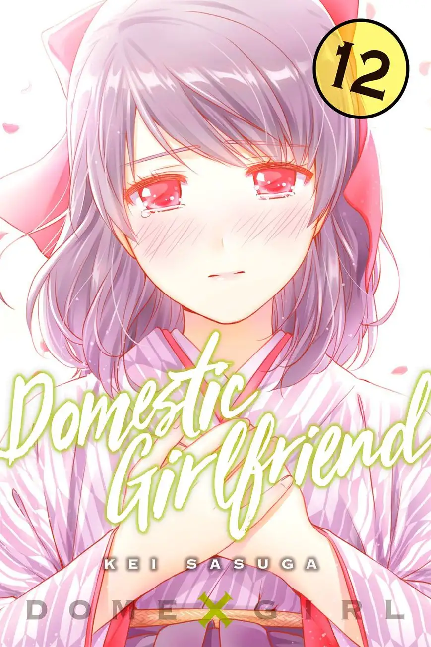 Domestic na Kanojo image