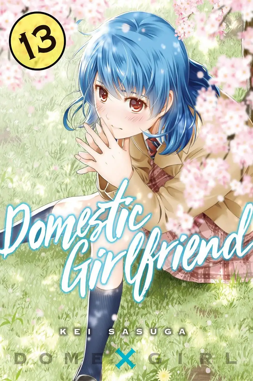 Domestic na Kanojo image