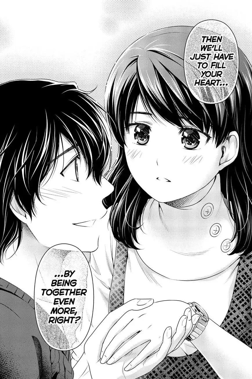 Domestic na Kanojo image