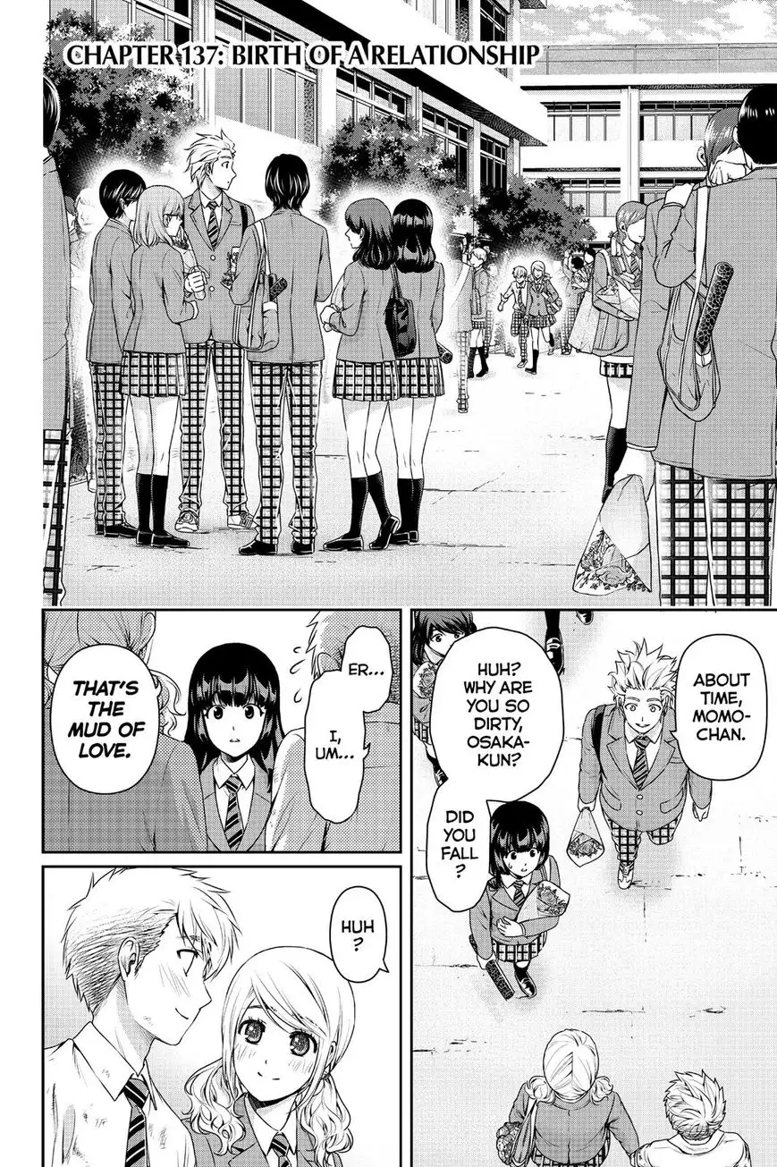 Domestic na Kanojo image