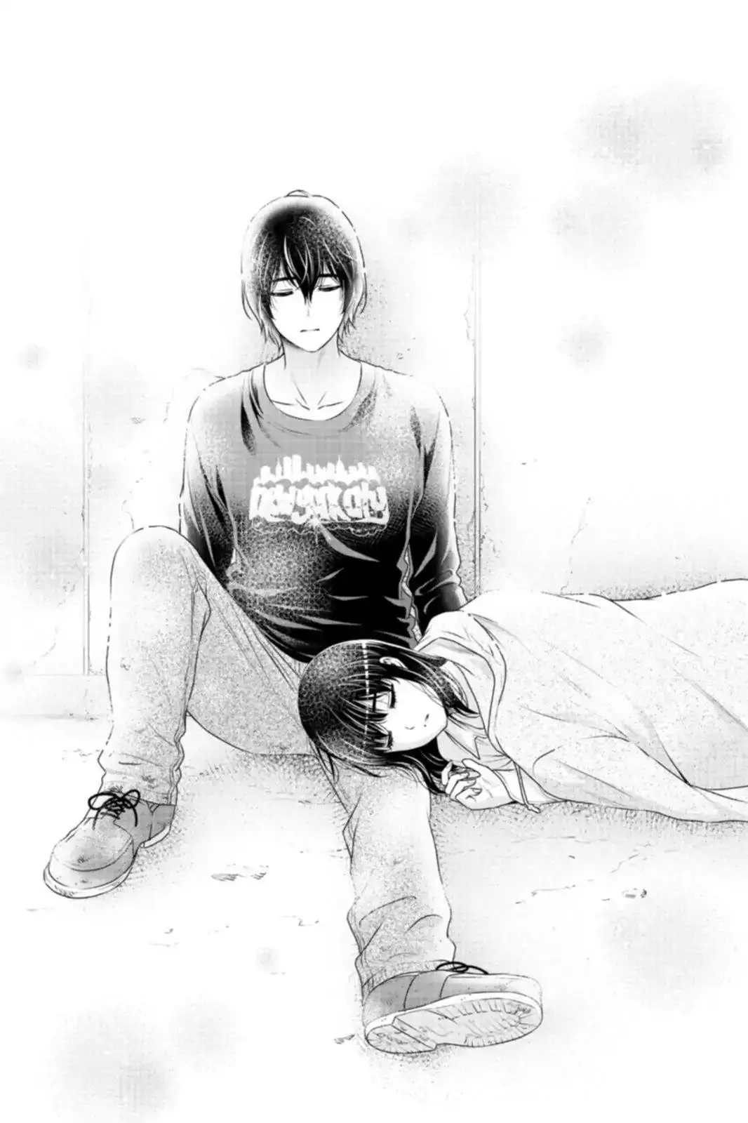 Domestic na Kanojo image