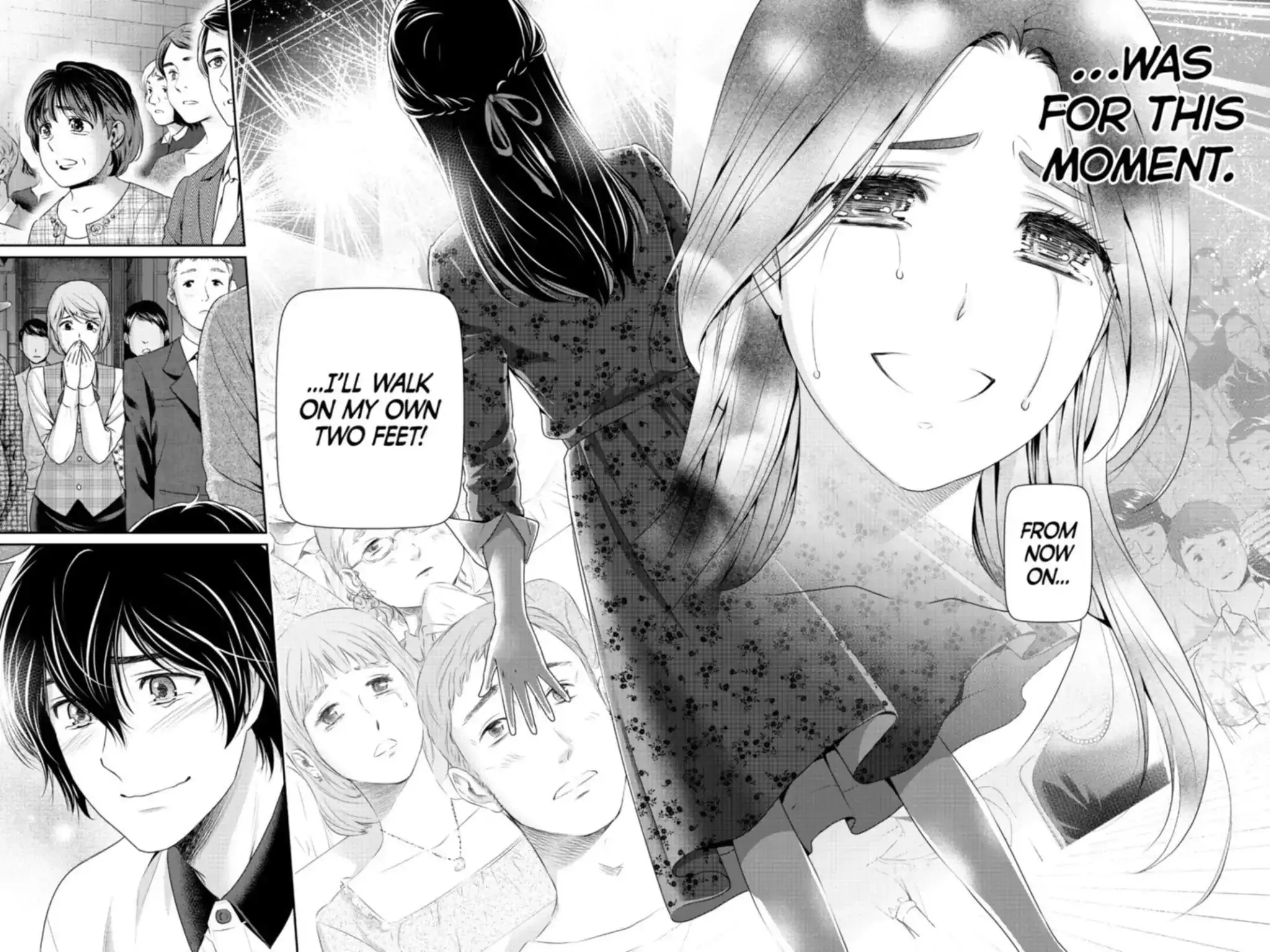 Domestic na Kanojo image