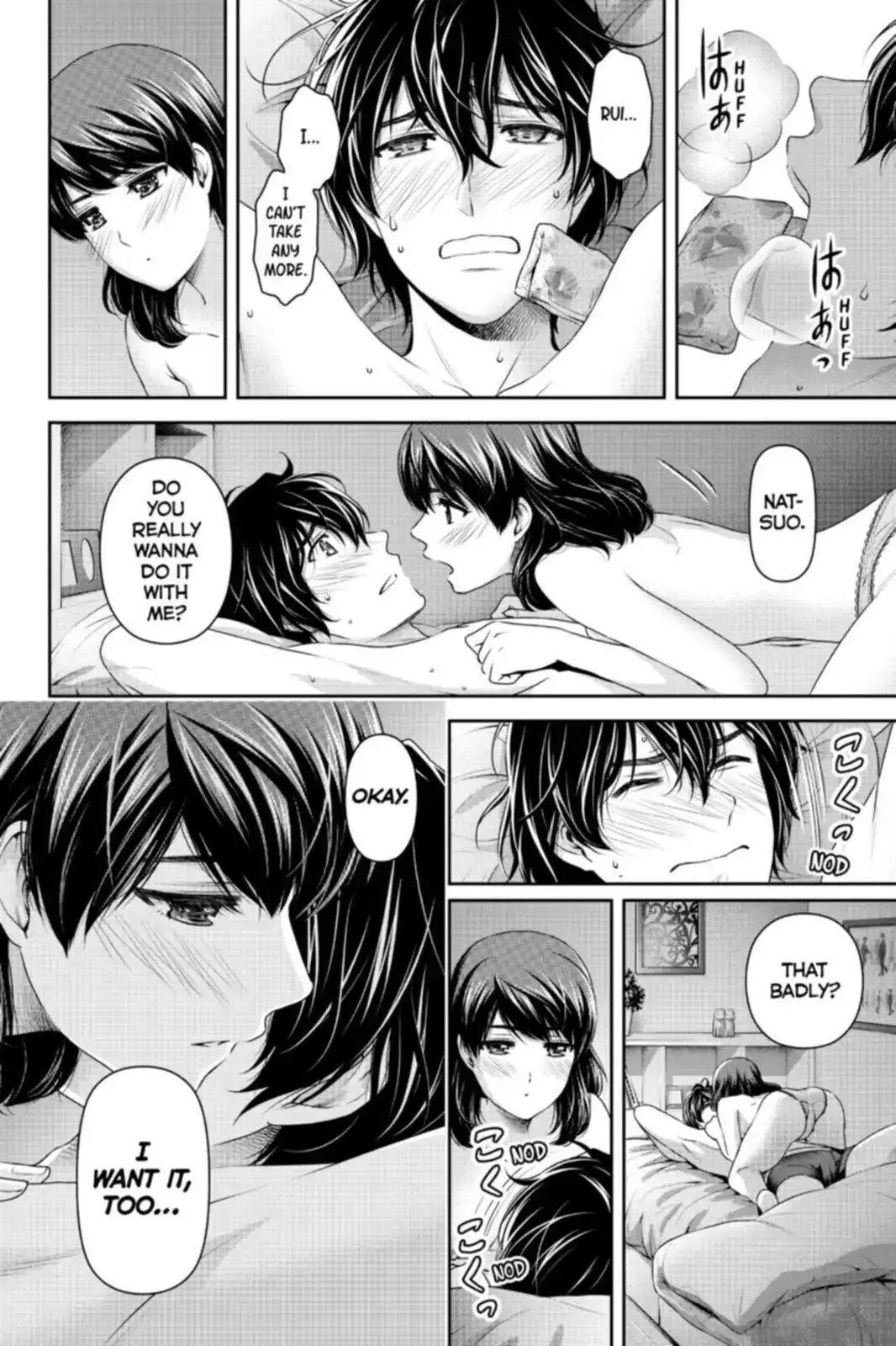 Domestic na Kanojo image