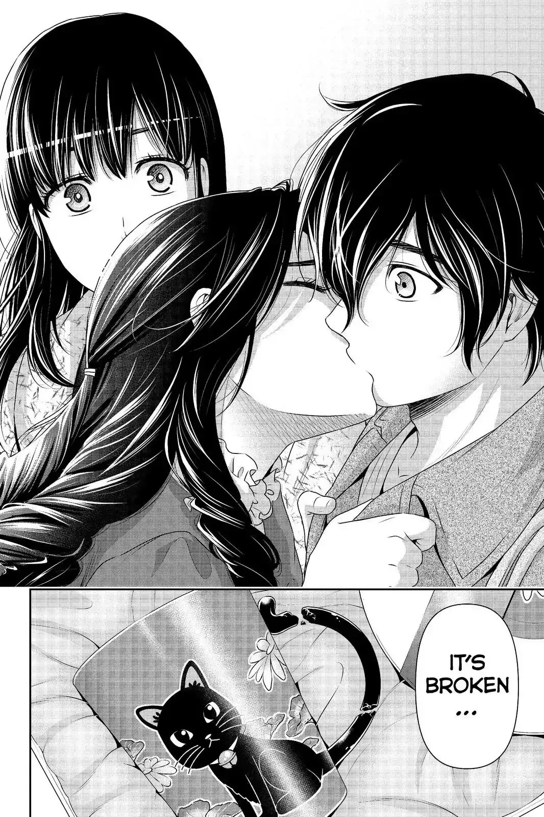 Domestic na Kanojo image