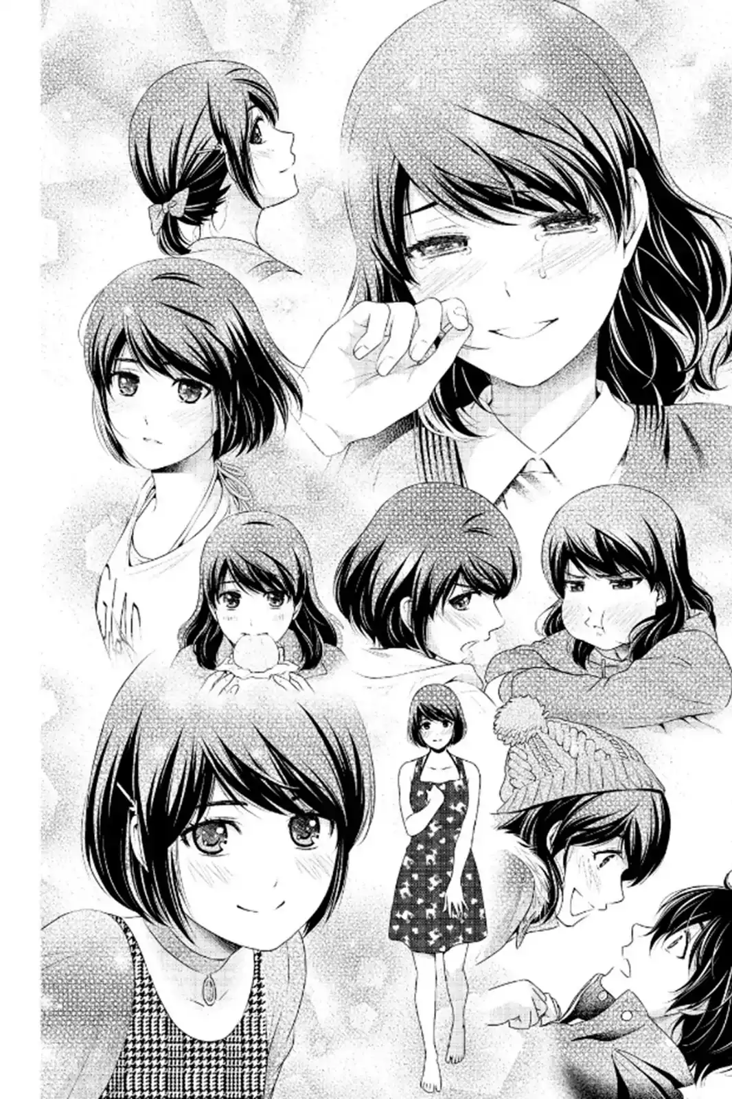 Domestic na Kanojo image