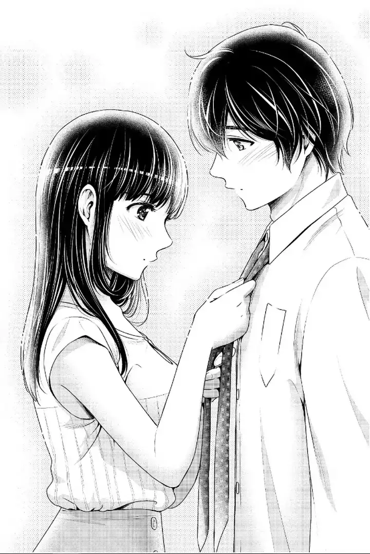 Domestic na Kanojo image