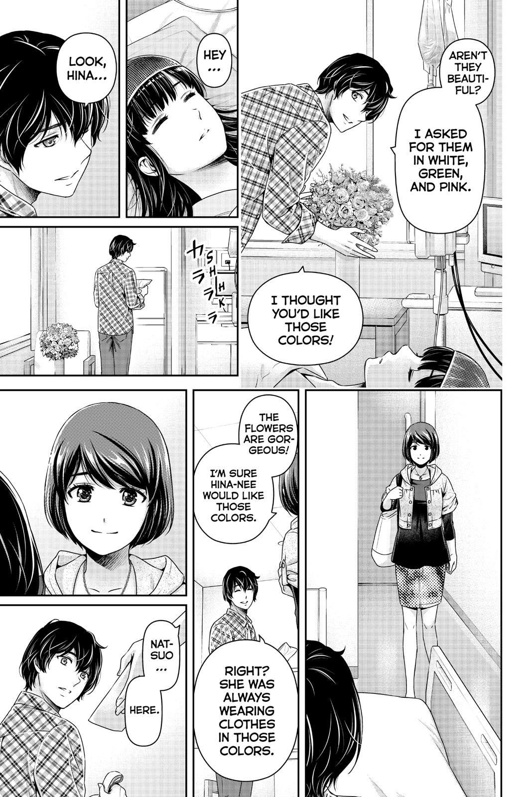 Domestic na Kanojo image