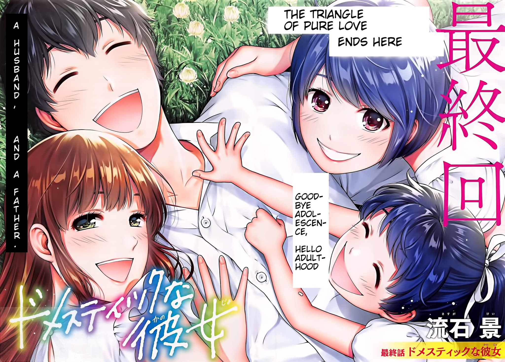 Domestic na Kanojo image