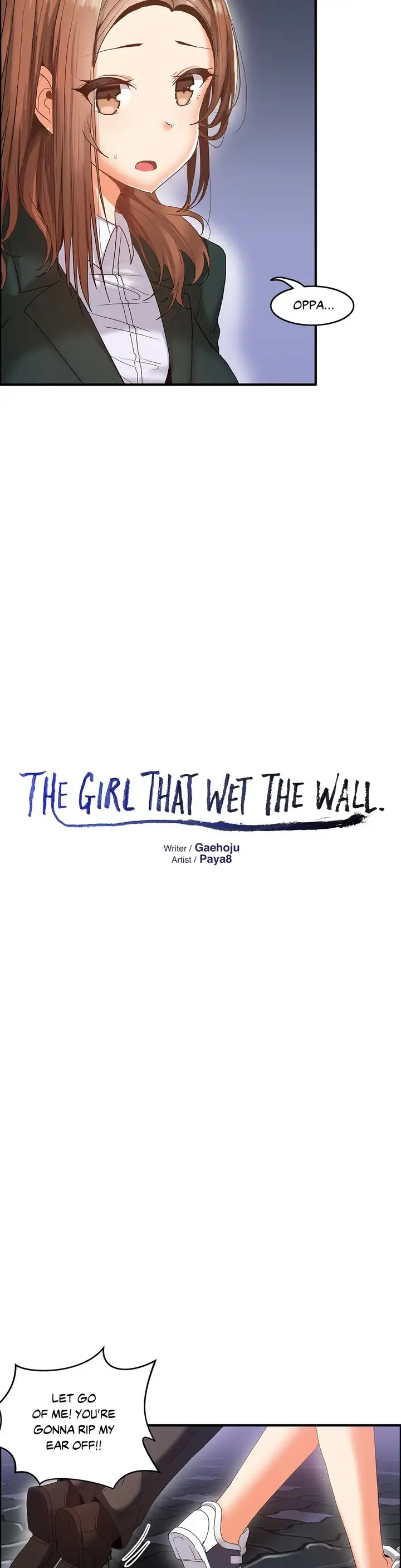 The Girl That Wet the Wall image