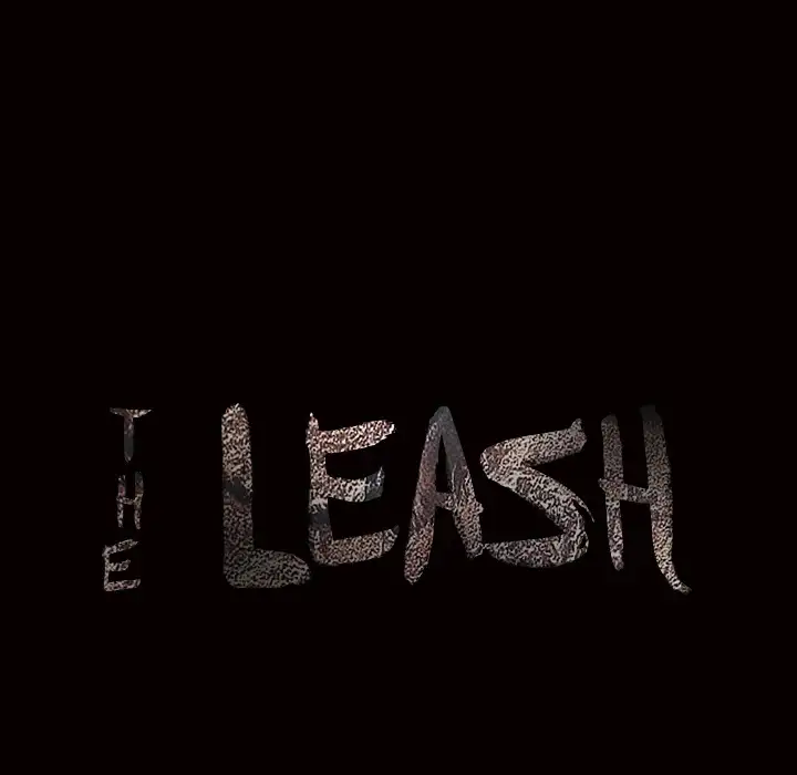 The Leash image