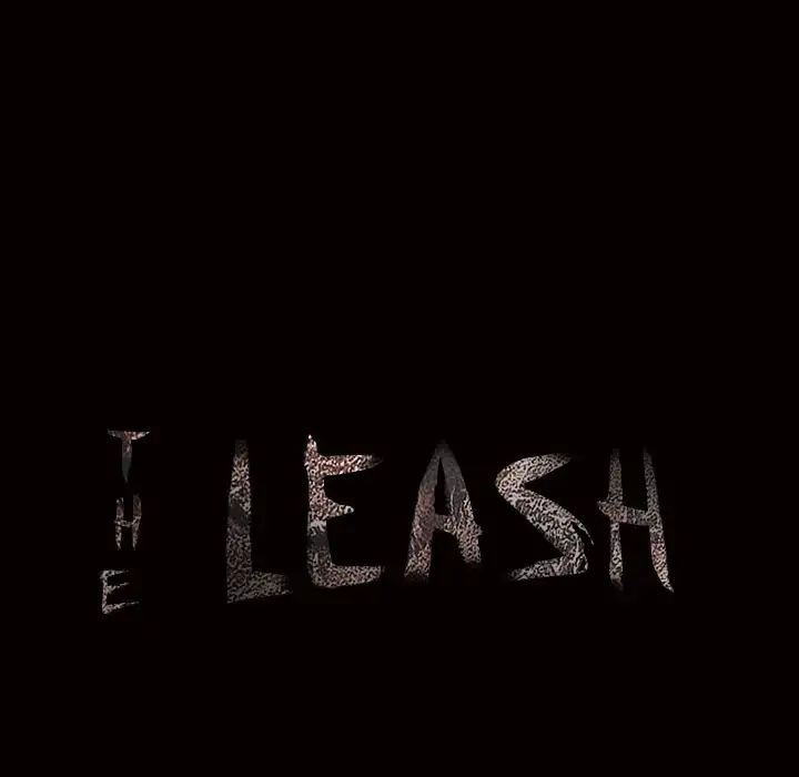 The Leash image