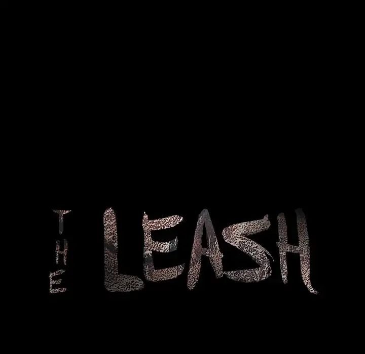 The Leash image