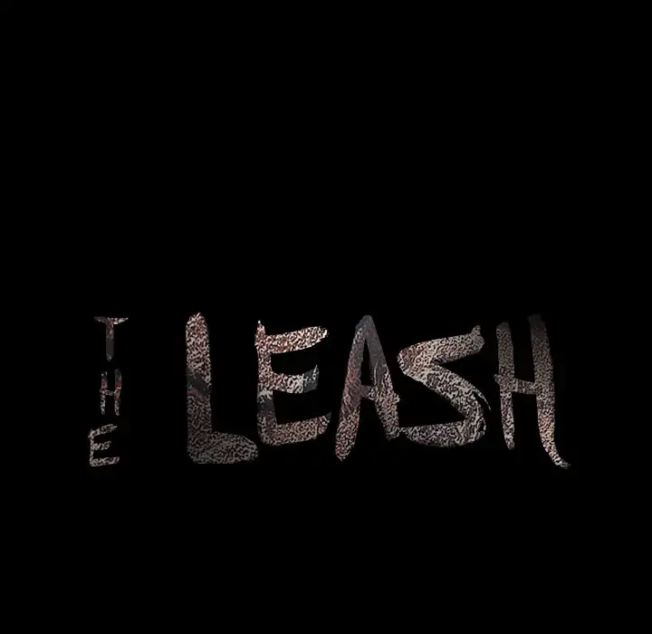 The Leash image