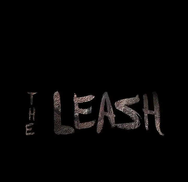 The Leash image