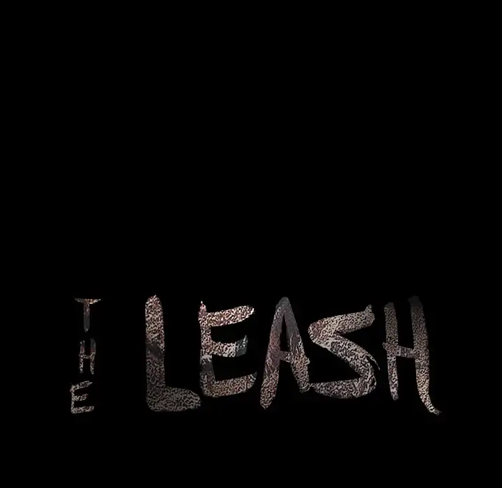 The Leash image