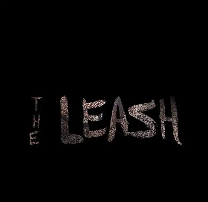 The Leash image