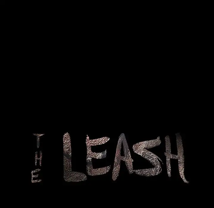 The Leash image